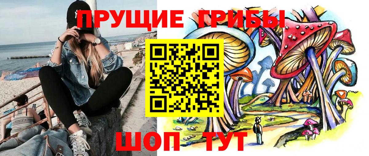 Галлюциногенные грибы мухоморы Шарыпово