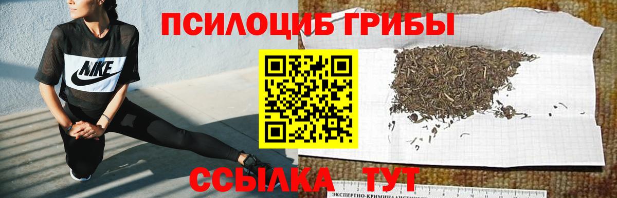 купить наркотики сайты  Вход с VPN  Шарыпово  Галлюциногенные грибы MAGIC MUSHROOMS  Галлюциногенные грибы ЛСД 
